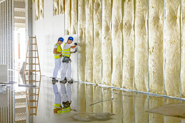 Trusted MN Insulation Contractor Experts